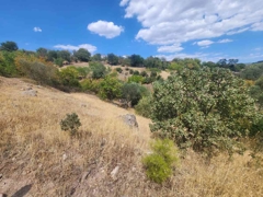 MANISA YUNUSEMRE ÇAMLICA ZEYTINLIK MUSTAKIL PARSEL