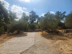 MANISA YUNUSEMRE ÇAMLICA ZEYTINLIK MUSTAKIL PARSEL