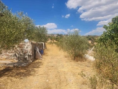 MANISA YUNUSEMRE ÇAMLICA ZEYTINLIK MUSTAKIL PARSEL