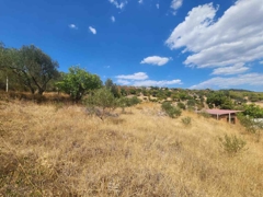 MANISA YUNUSEMRE ÇAMLICA ZEYTINLIK MUSTAKIL PARSEL