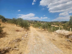 MANISA YUNUSEMRE ÇAMLICA ZEYTINLIK MUSTAKIL PARSEL