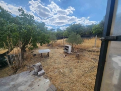 MANISA YUNUSEMRE ÇAMLICA ZEYTINLIK MUSTAKIL PARSEL