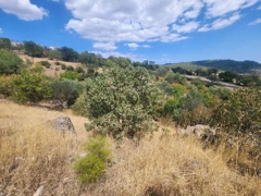 MANISA YUNUSEMRE ÇAMLICA ZEYTINLIK MUSTAKIL PARSEL