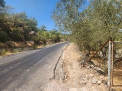 MANISA YUNUSEMRE ÇAMLICA ZEYTINLIK MUSTAKIL PARSEL