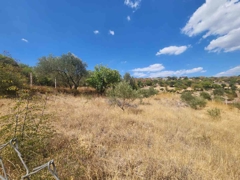 MANISA YUNUSEMRE ÇAMLICA ZEYTINLIK MUSTAKIL PARSEL