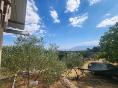 MANISA YUNUSEMRE ÇAMLICA ZEYTINLIK MUSTAKIL PARSEL