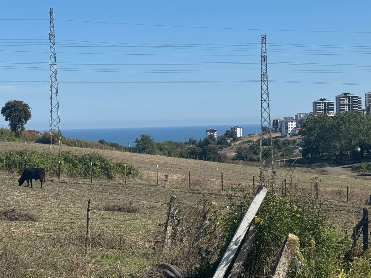 BAĞ EVİ VE MUHTEŞEM ARSASI