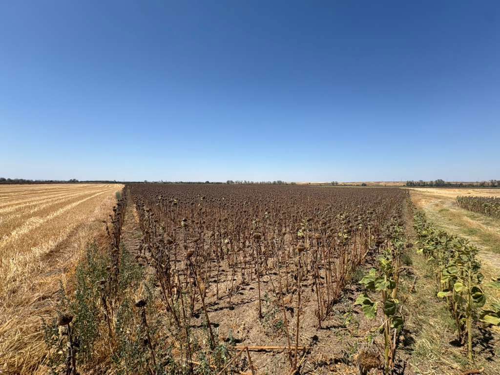 KIRKLARELİ LÜLEBURGAZ 'DA SATILIK ARSA 