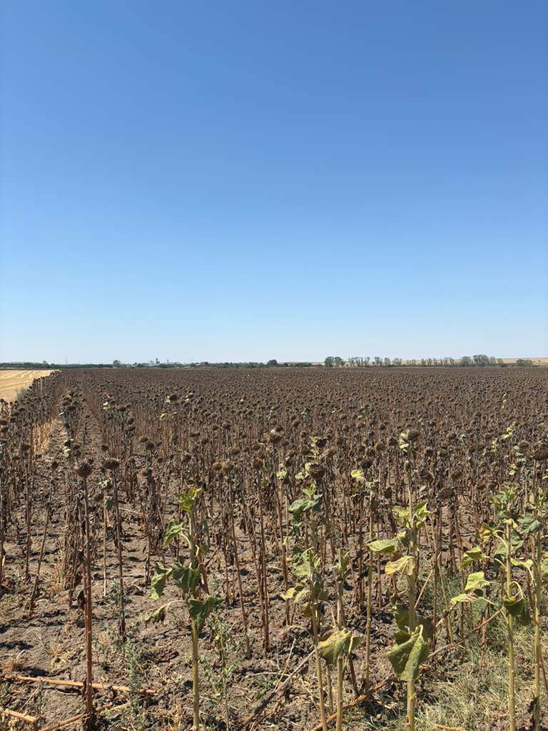 KIRKLARELİ LÜLEBURGAZ 'DA SATILIK ARSA 