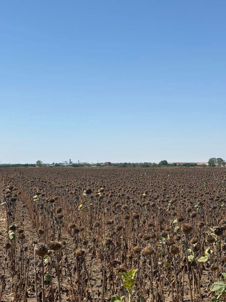 KIRKLARELİ LÜLEBURGAZ 'DA SATILIK ARSA 