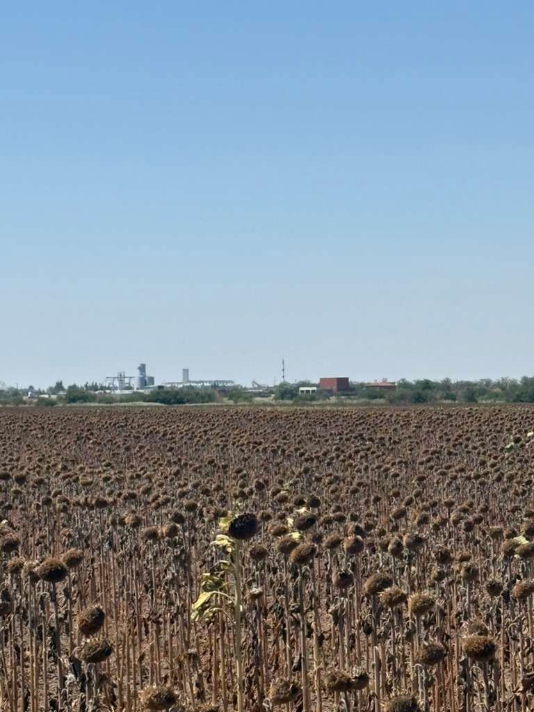 KIRKLARELİ LÜLEBURGAZ 'DA SATILIK ARSA 