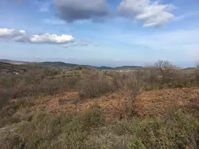 KÖY İÇINE 243 MT. - KADASTRO YOLA 68 MT. MÜSTAKIL TAPULU TARLA