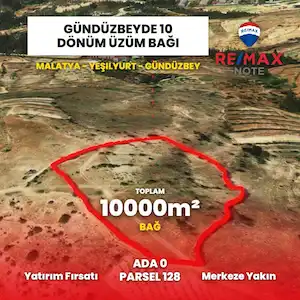MALATYA GÜNDÜZBEY’DE İMARA KOMŞU 10 DÖNÜM SATILIK BAĞ
