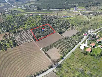 SATILIK KUŞADASI/ÇINARKÖY DE ZEYTIN VE INCIR AĞACI DIKILI BAĞ-BAHÇE