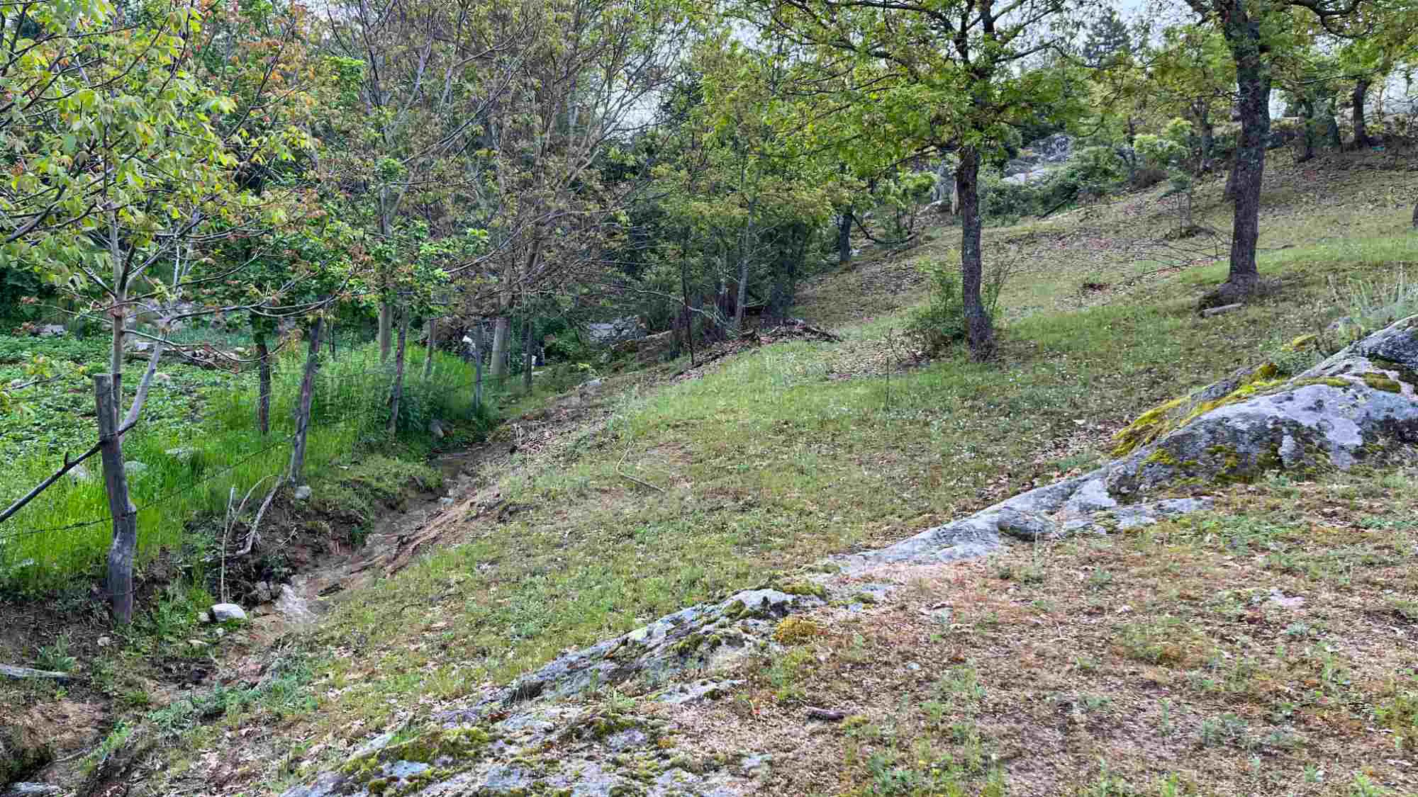 Property image 36