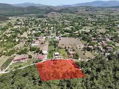 KUŞADASI KİRAZLI KÖYÜ’NDE SATILIK 6152 M2 TARLA