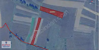 HENDEK Y.ÇALICADA BİTİŞİK İKİ ADET TARLA REMAX DESİGN