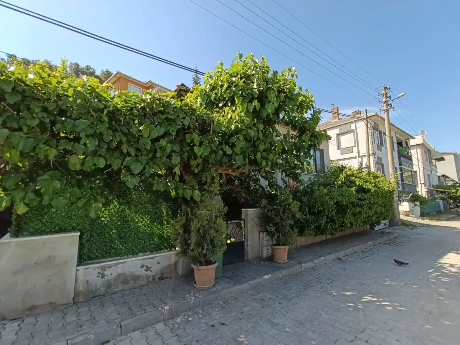 Property image 27