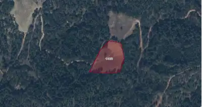BOLU GÖYNÜK DAĞŞEYHLERİ KÖYÜ AŞAĞI KUZ MEVKİİNDE 4879 M2 SATILIK TARLA
