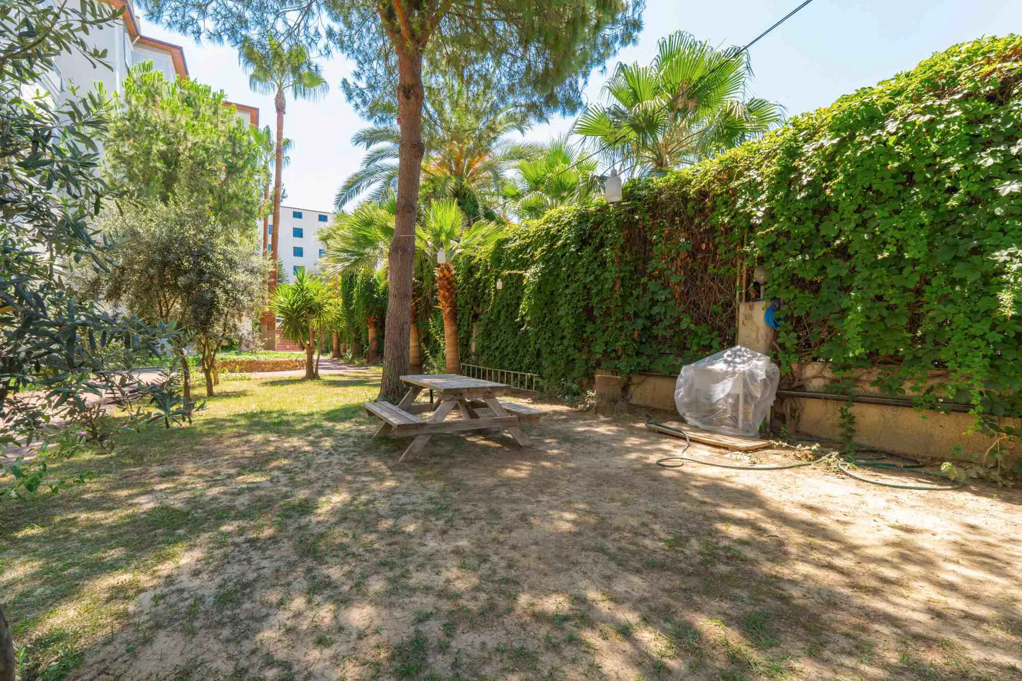 Property image 24