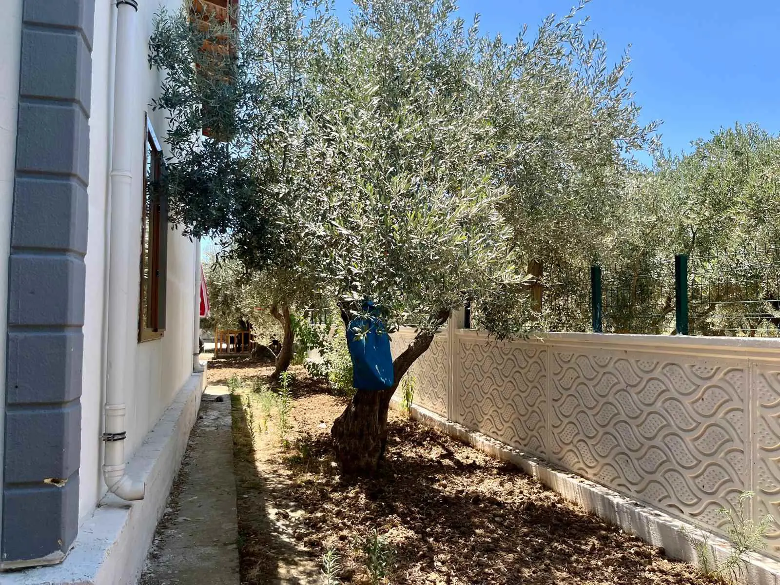Property image 23