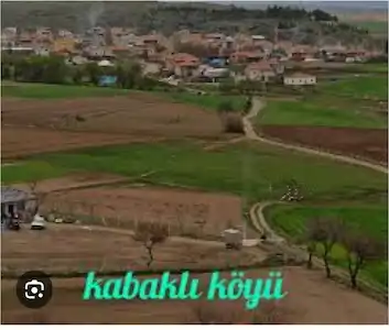 DEVELİ KABAKLI MAHALLESIN YATIRIMLIK 14004M2 SATILIK TARLA