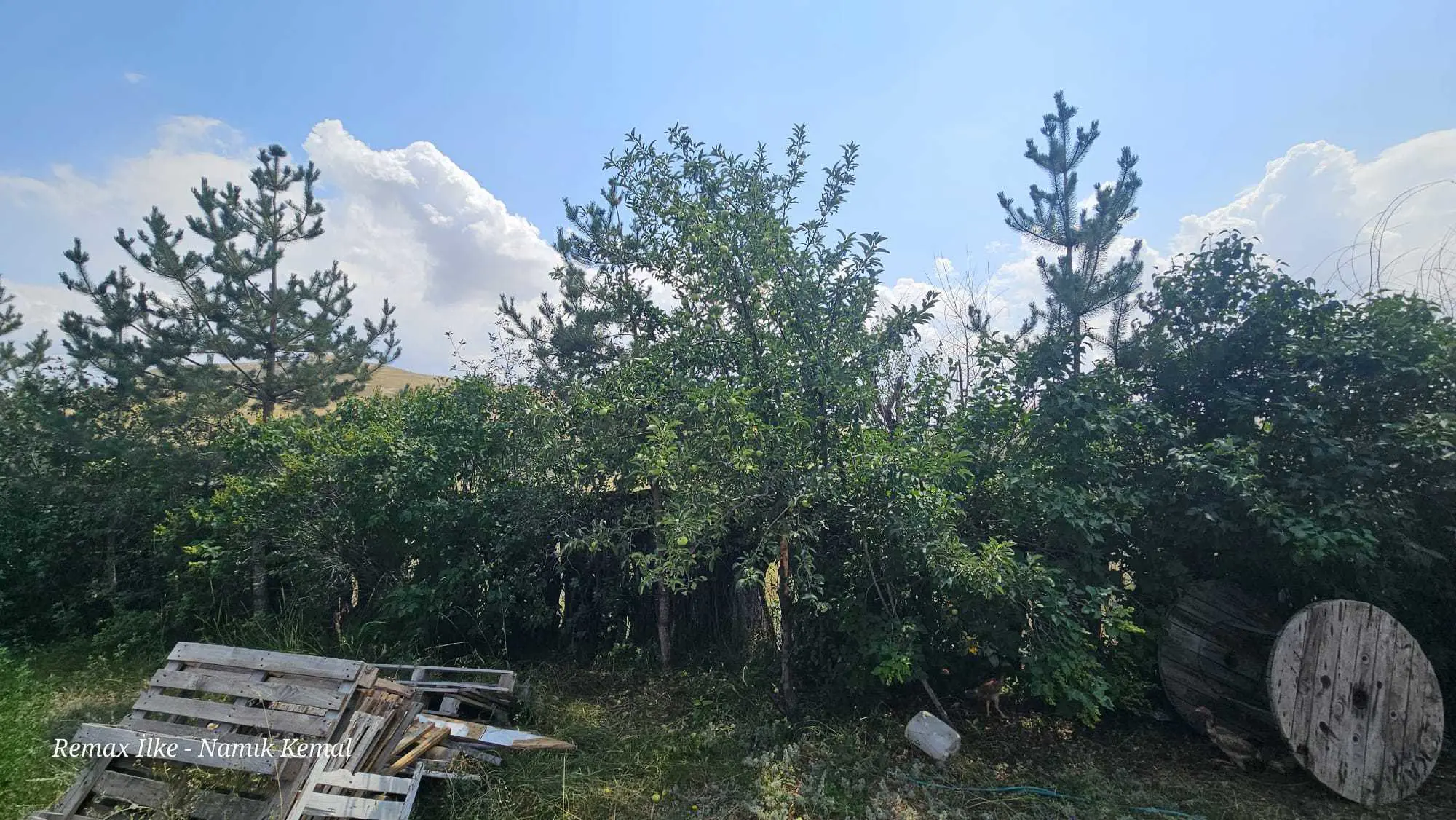 Property image 26