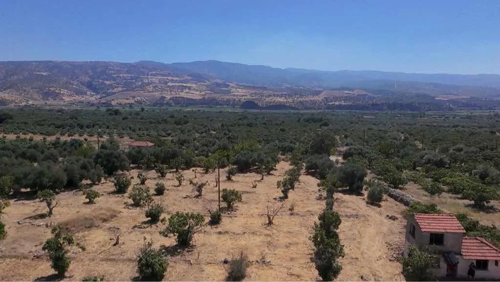 Property image 17