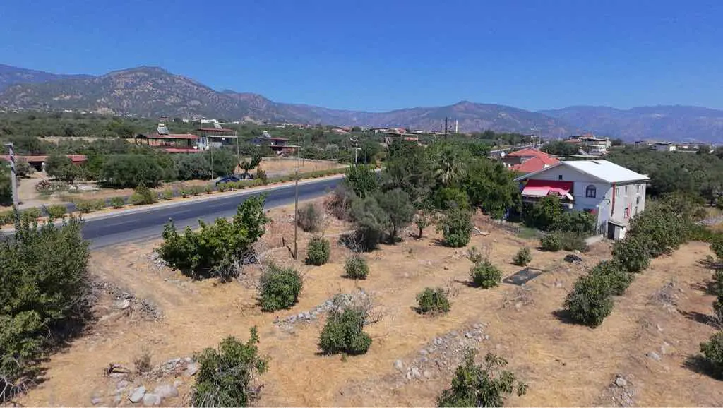 Property image 30
