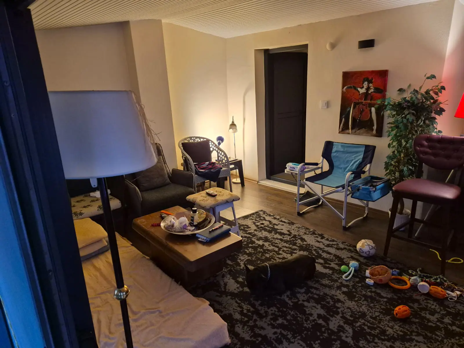 Property image 39