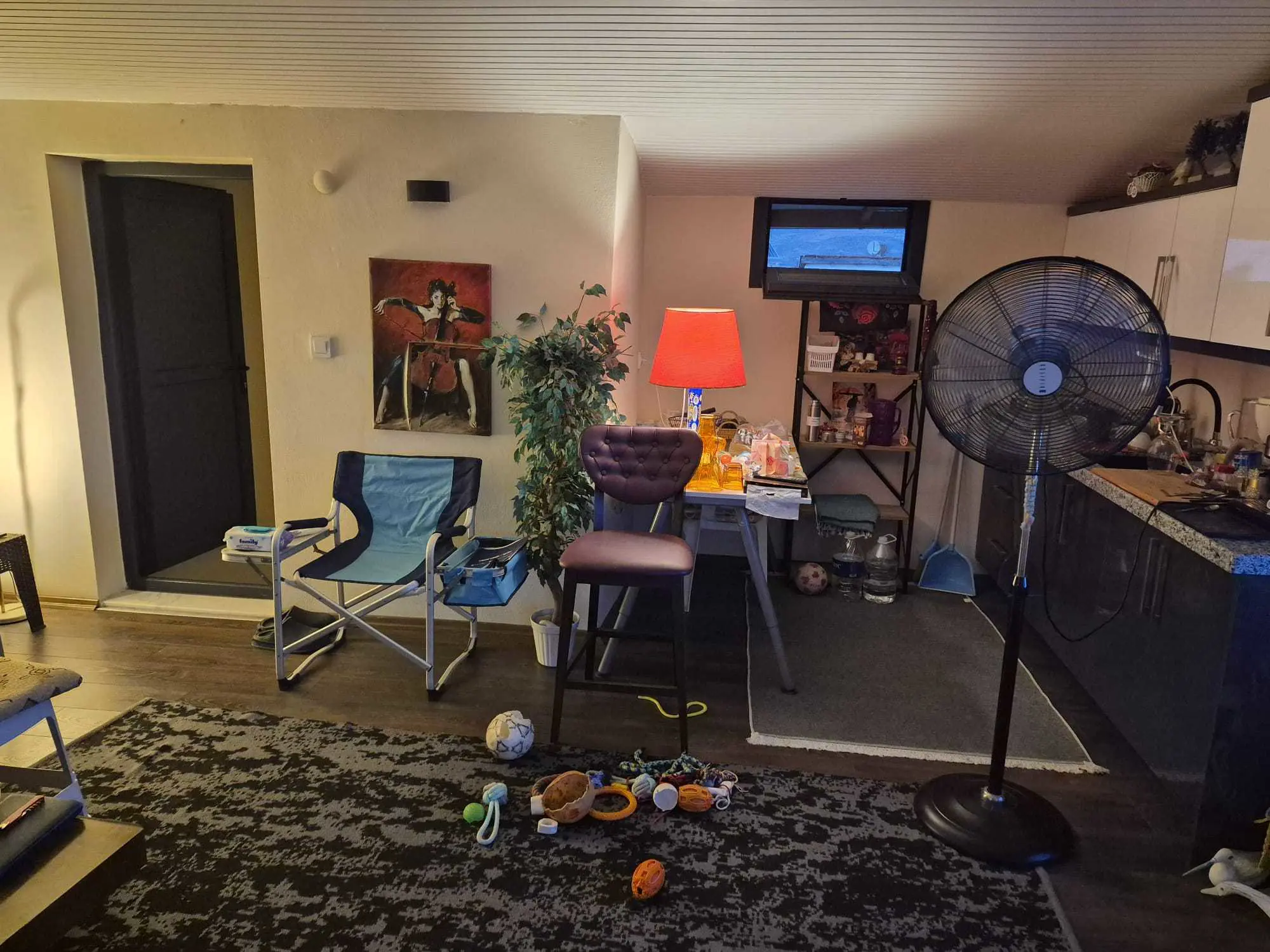 Property image 28