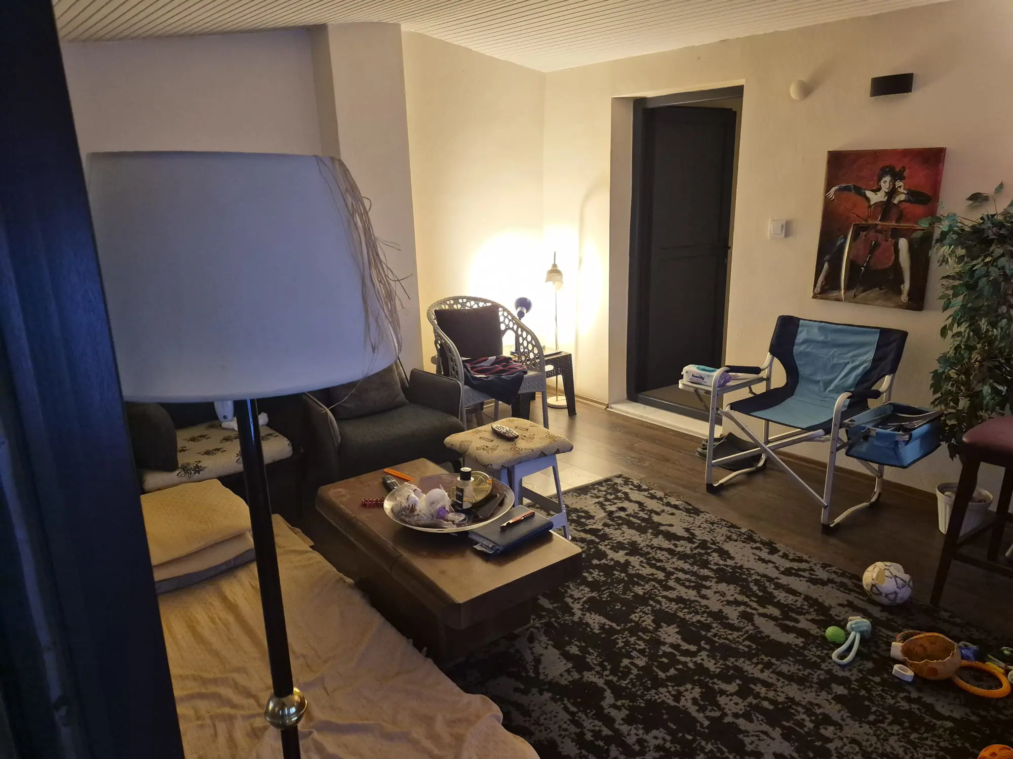 Property image 45