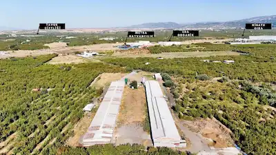 SATILIK 50.000 KAPASİTELİ FIRSAT TAVUK ÇİFTLİĞİ