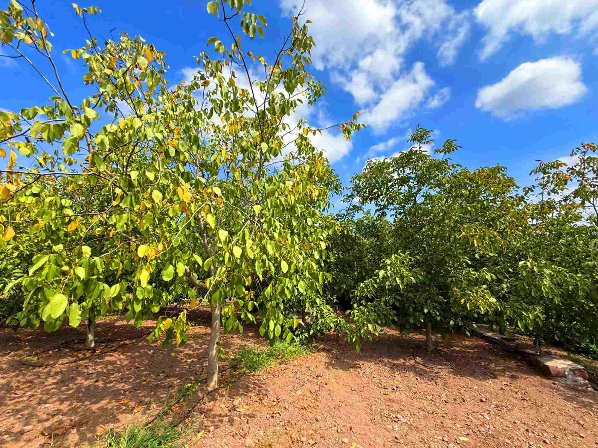 Property image 30