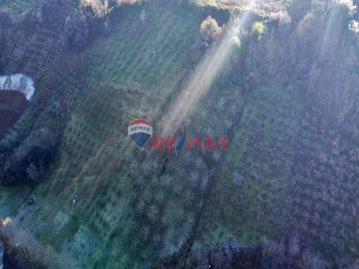 REMAX MEYDAN AKÇAABAT DÜRBİNAR SATILIK TARLA VE TATLI SU KAYNAĞI