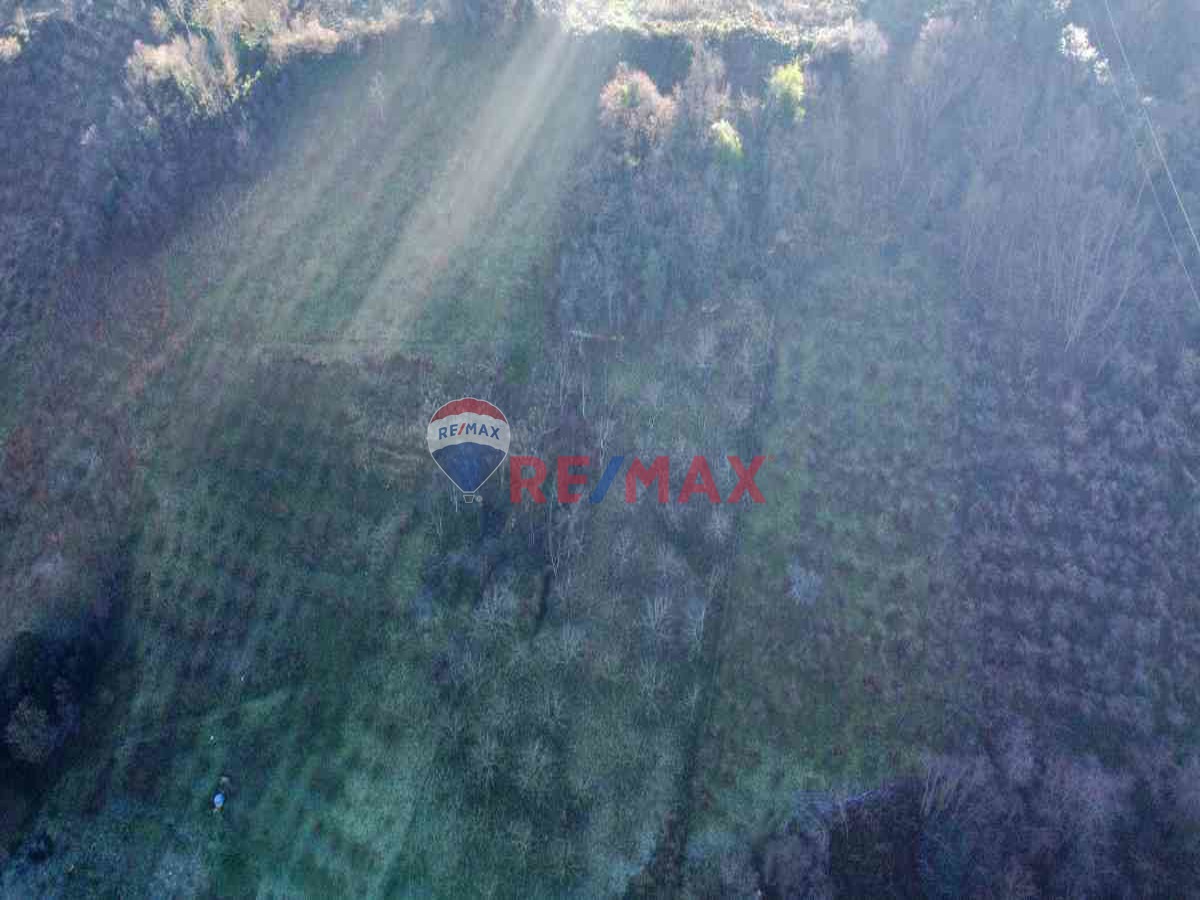 REMAX MEYDAN AKÇAABAT DÜRBİNAR SATILIK TARLA VE TATLI SU KAYNAĞI