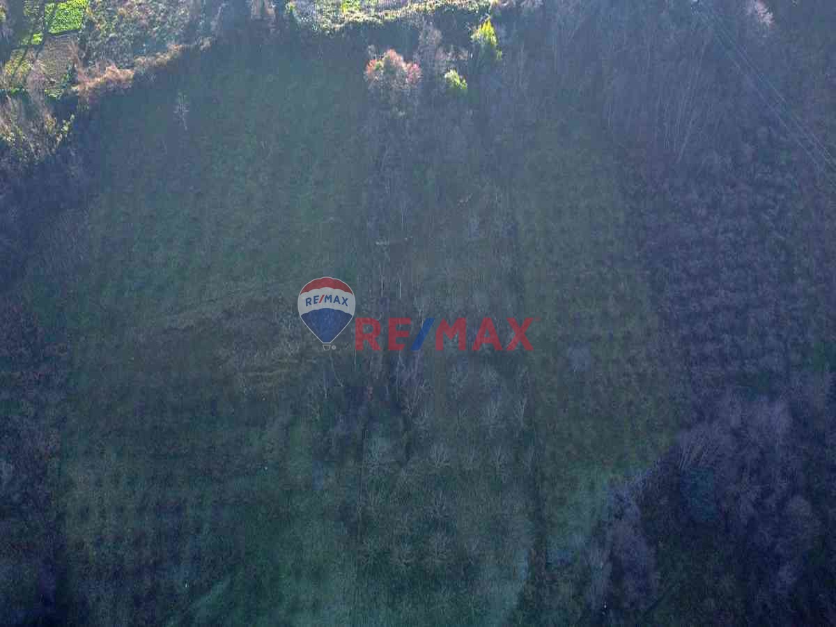 REMAX MEYDAN AKÇAABAT DÜRBİNAR SATILIK TARLA VE TATLI SU KAYNAĞI