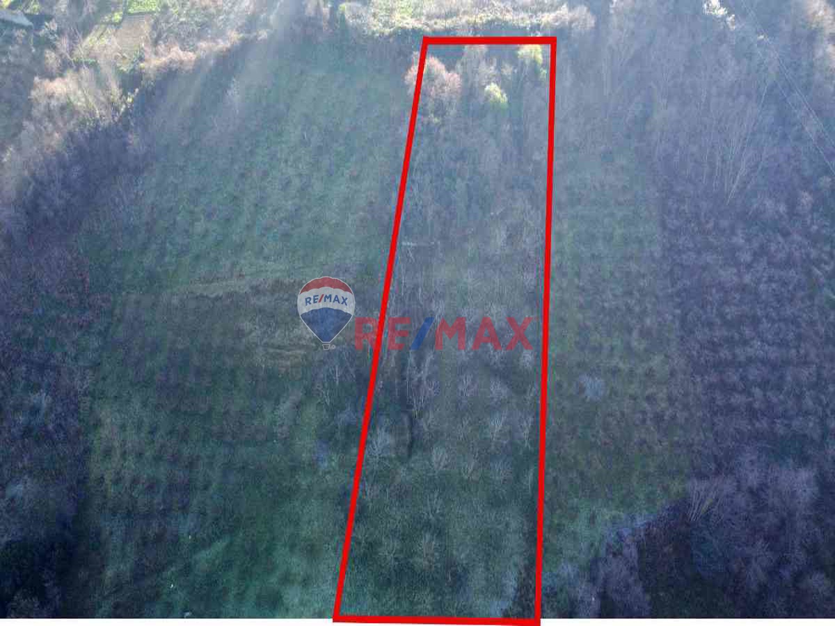 REMAX MEYDAN AKÇAABAT DÜRBİNAR SATILIK TARLA VE TATLI SU KAYNAĞI