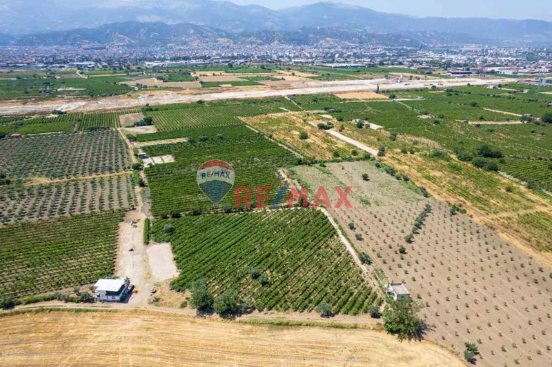 MANİSA SALİHLİ BEŞEYLÜL'DE 7.143 M² FAAL YATIRIMLIK ÜZÜM BAĞI
