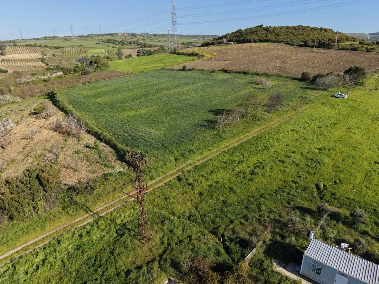 Property image 16