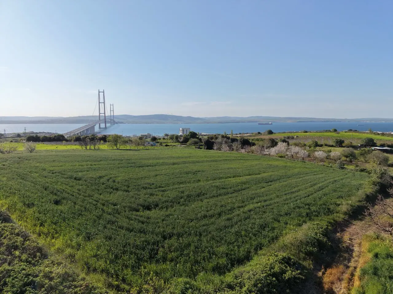 Property image 27