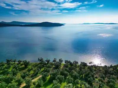 AYVALIK CUNDA ADA'SINDA, TABİATIN İÇ İÇE SATILIK ZEYTINLIK