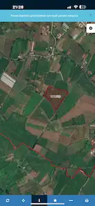REMAX ŞAHINDEN ÇARŞAMBA YENI KÖSELIDE 12.279 M2 FINDIK BAHÇESI