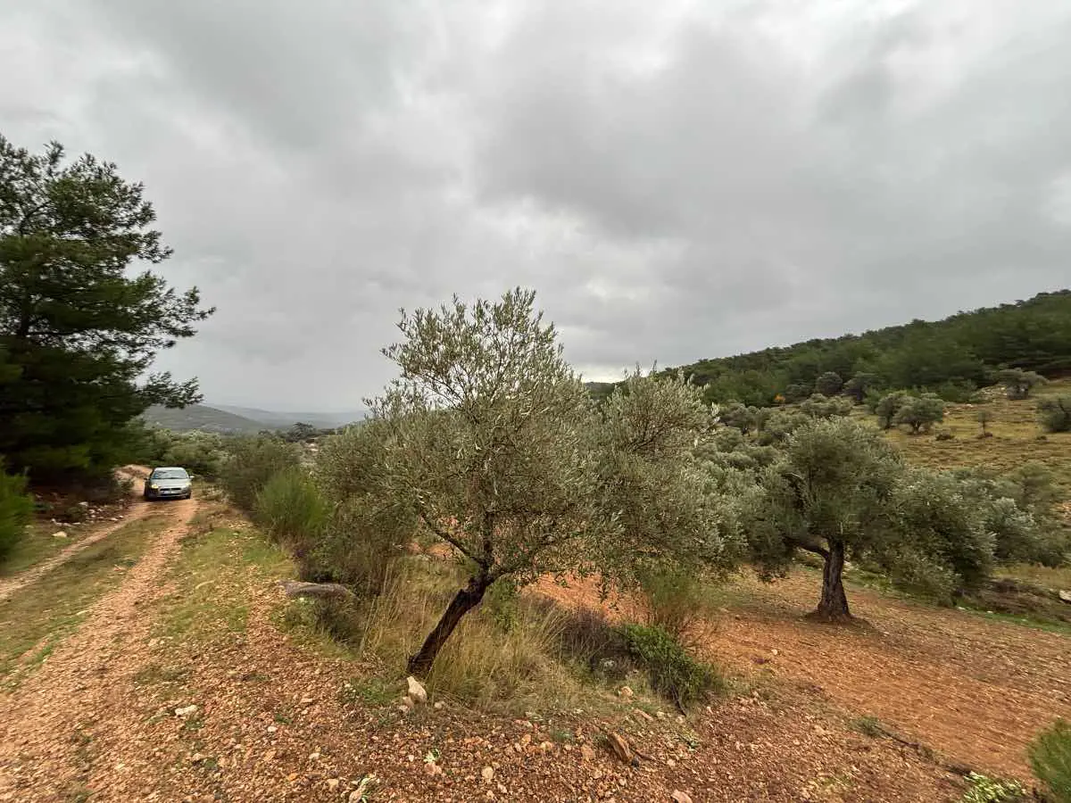 Property image 27