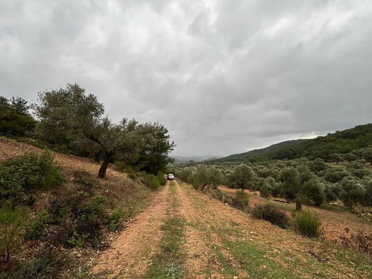 Property image 17