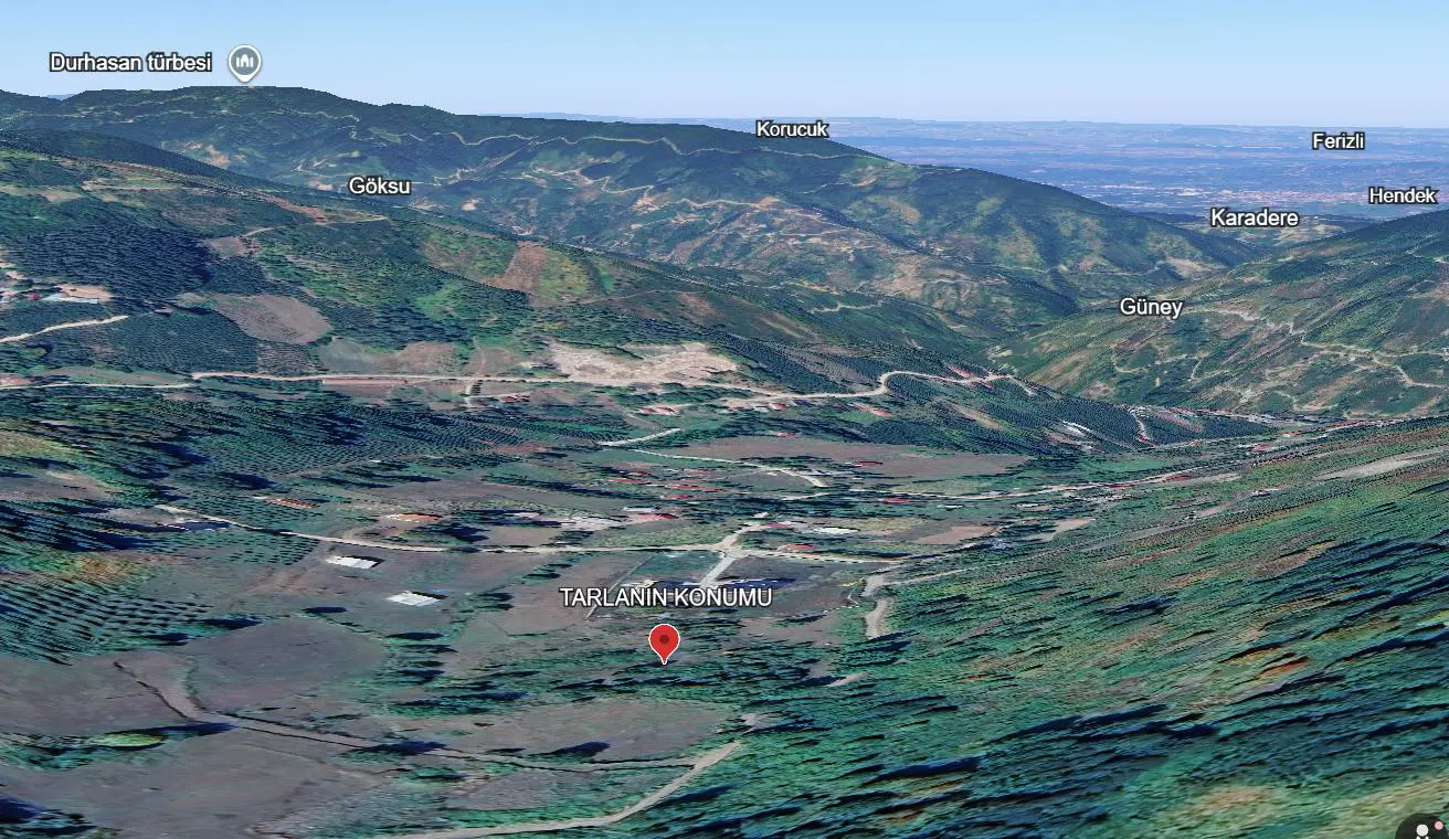 Property image 6