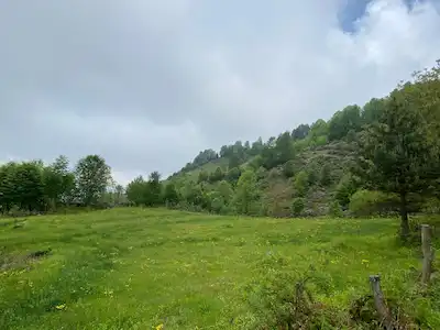 FIRSAT! YATIRIMLIK SATILIK 3.500 M2 TARLA SAKARYA/HENDEK/DİKMEN