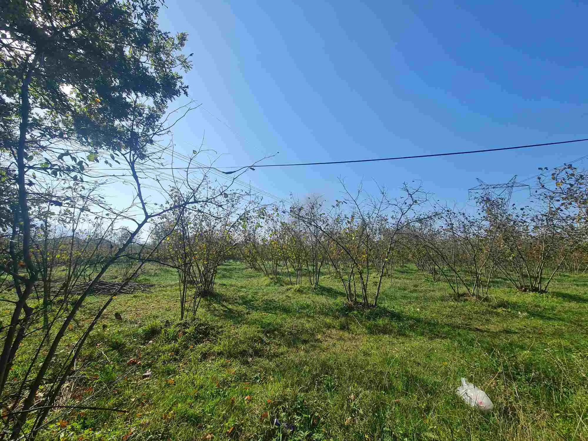 Property image 27