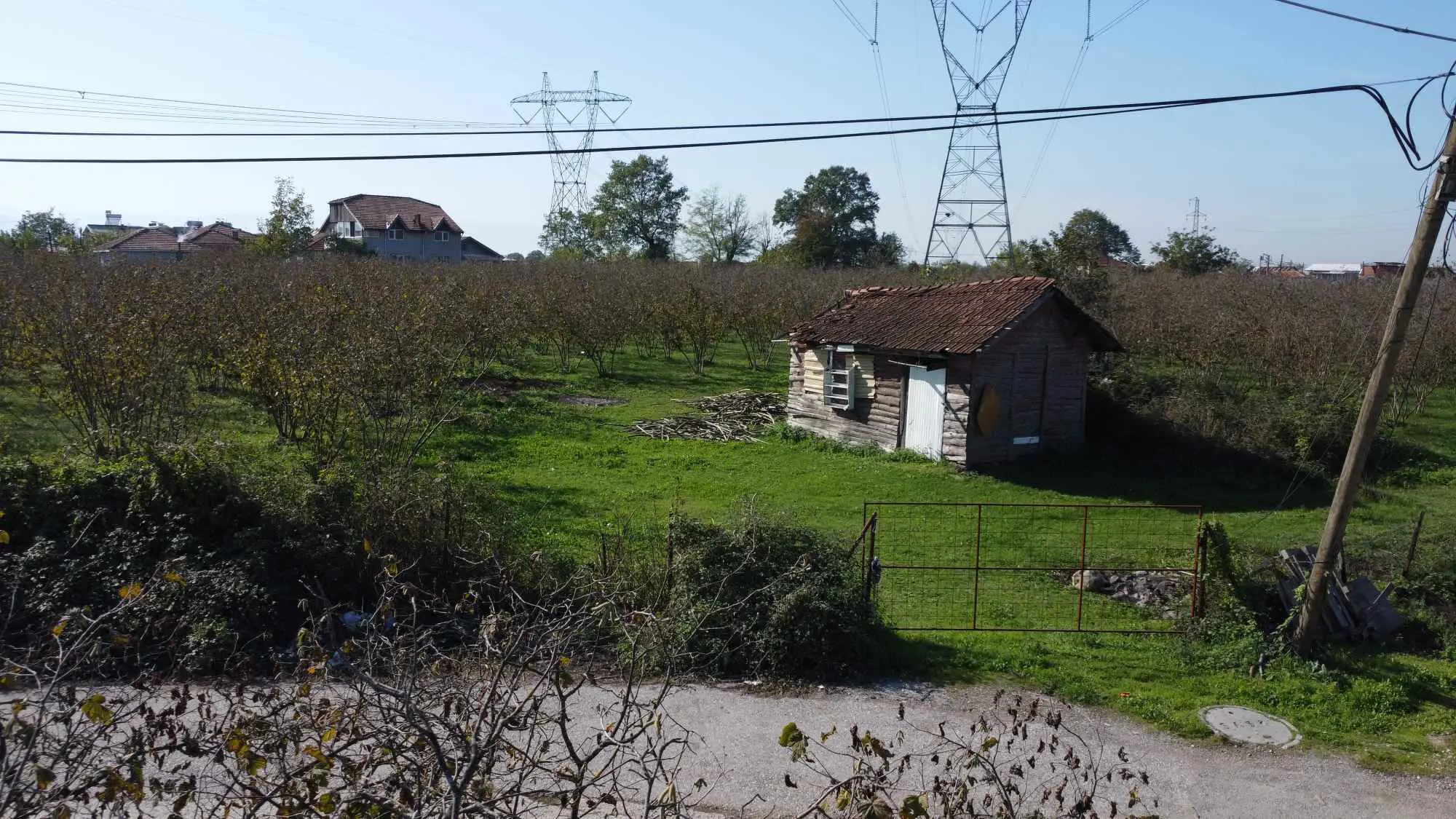 Property image 18
