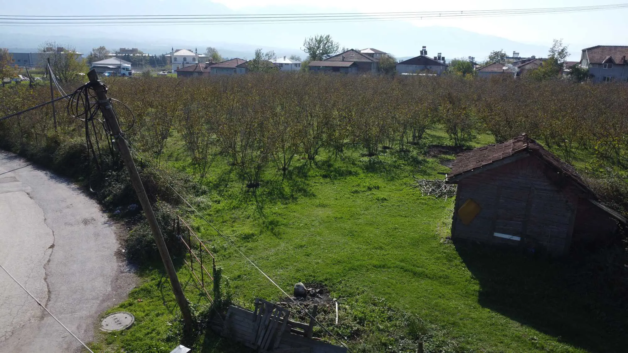Property image 29